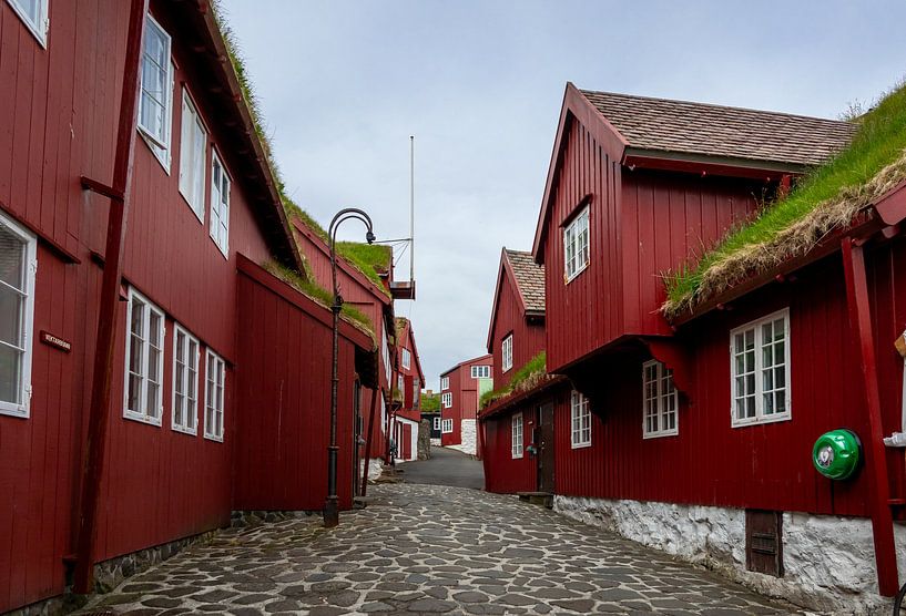 Torshaven op de Faeröer eilanden, Denemarken van Adelheid Smitt