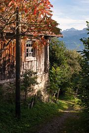 Autumn colours in Central Switzerland by John Faber