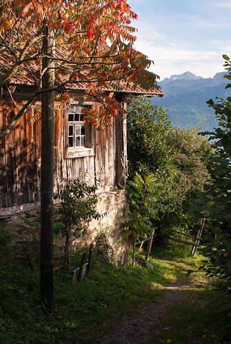 Herbstfarben in der Zentralschweiz