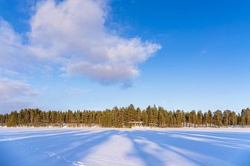 Landschap met sneeuw en meer in de winter in Kuusamo, Finland van Rico Ködder