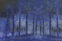 Bleu Forrest