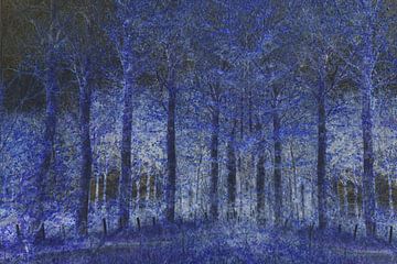 Blue Forrest van Marjoleine Knappers
