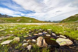 Green Silvretta by Andreas Föll