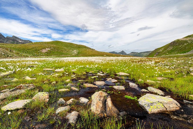 Green Silvretta by Andreas Föll
