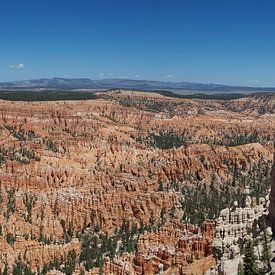 Panorama over Bryce Amphitheater van Bart van Wijk Grobben