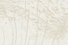 Subtle wood structure by Dina Dankers