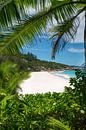 Beach with palm trees on the island of La Digue in the Seychelles. by Voss photography thumbnail