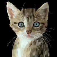 Blauäugige Katze