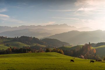 Appenzellerland mit Blick zum Säntis, Schweiz von Conny Pokorny