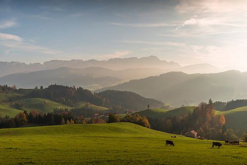 Appenzellerland avec vue sur le Säntis, Suisse