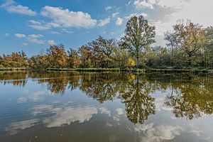 De reflectie van een mooi herfstlandschap.