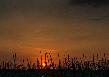 Abendluft von Erna Böhre