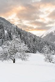 Winter landscape Ischgl sunset by Xulé Bogers