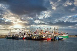 Fischereischiffe im Hafen von Lauwersoog