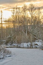 Hiver Suède 04 sur Geertjan Plooijer