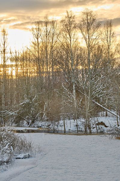Winter Sweden 04 by Geertjan Plooijer
