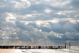 Strand met golfbrekers bij Zoutelande, Zeeland