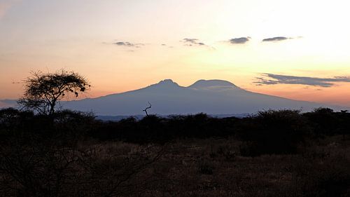 De Kilimanjaro bij zonsondergang in Tsavo West