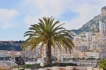 Palmboom en beeldhouwwerk op een terras in Monaco, met uitzicht op de stad van Carolina Reina