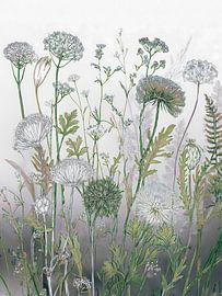 Botanische Illustration: Flötenkräuter und Gräser entlang der W von Studio Pieternel