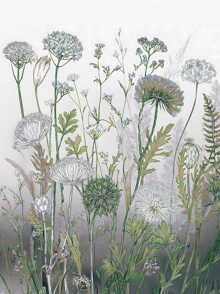 Botanical illustration: Flute weeds and grasses along the w by Studio Pieternel