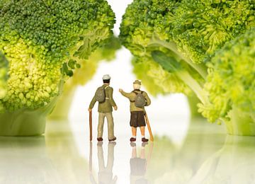 miniature figures walking on broccoli trees  van ChrisWillemsen