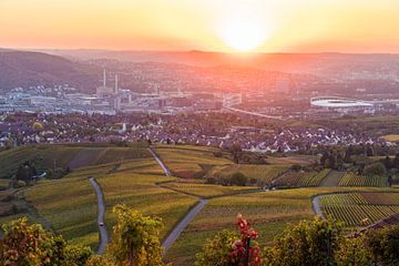 Vineyards in Stuttgart by Werner Dieterich