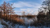 Panorama Molsbroek, Lokeren, Belgique