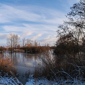 Panorama Molsbroek, Lokeren, Belgique sur Lemayee