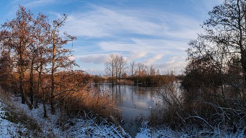 Panorama Molsbroek, Lokeren, Belgium