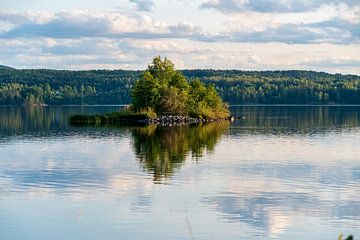 Solitary reflection by Joris Machholz