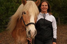 Photoshooting with light brown Haflinger with beige mane