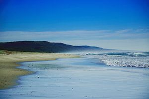 Through the retreating ocean