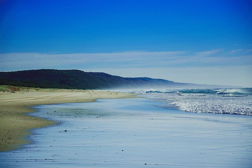 Durch den sich zurückziehenden Ozean von Frank's Awesome Travels
