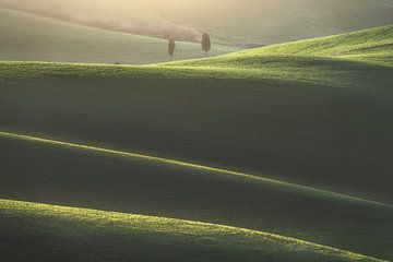 Twee cipressen en glooiende heuvels in Toscane van Stefano Orazzini