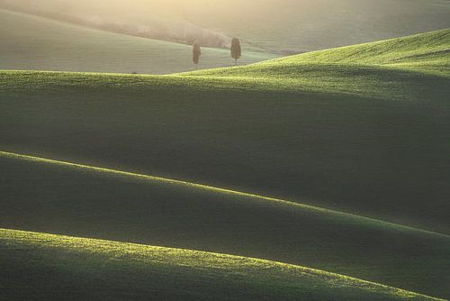 Twee cipressen en glooiende heuvels in Toscane