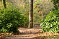 Julianapark in Utrecht in autumn