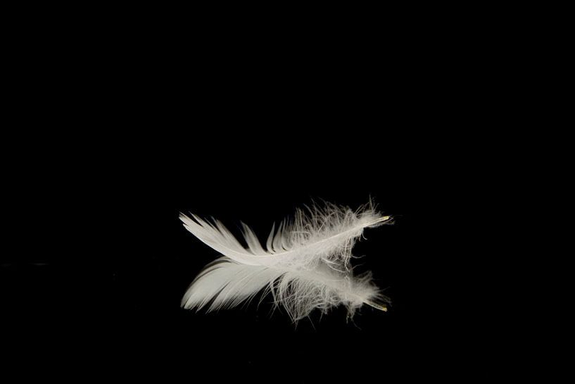 product photography black and white by Diana Edwards
