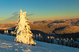 Belchen bei Sonnenuntergang im Winter, Schwarzwald von Markus Lange