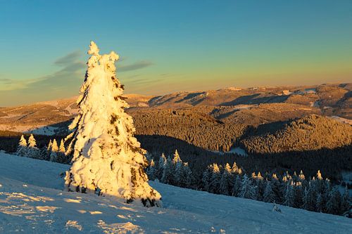 Belchen at sunset in winter, Black Forest