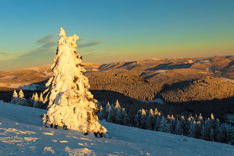 Belchen at sunset in winter, Black Forest by Markus Lange