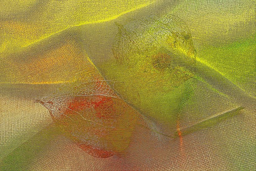 Fragilité par Dominique Landau