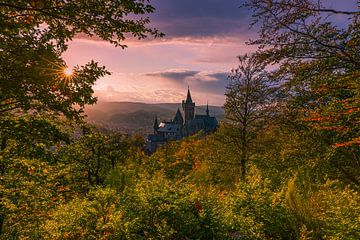 Château de Wernigerodeode, Harz, Saxe-Anhalt, Allemagne. sur Henk Meijer Photography