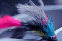 Abstract feather * Abstract feather 