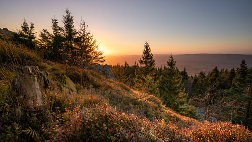 Abendstunde im Harz