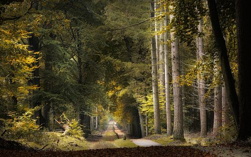 A Change is Gonna Come