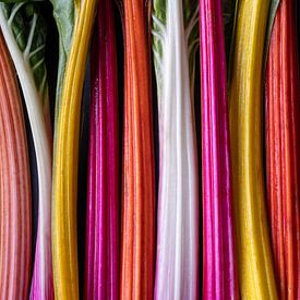 Colorful Rainbow Swiss Chard l Food Photography by Lizzy Komen