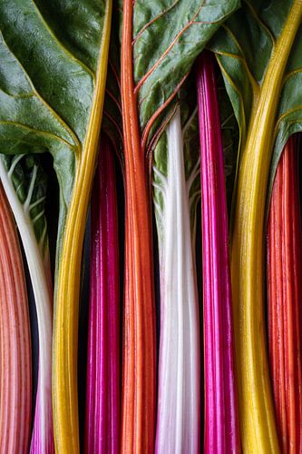 Kleurrijke Regenboog Snijbiet l Food Fotografie van Lizzy Komen