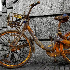 Mist iemand een fiets van Bert Koppe