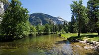 Yosemite Park